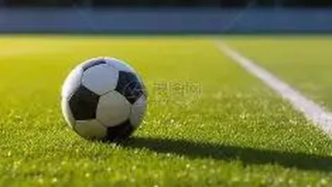 卢布列夫艰难突破，阿德莱德男单四强名单揭晓