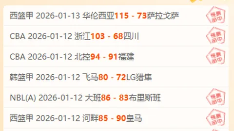 周日004德乙焦点战：帕德博恩VS柏林赫塔专家深度分析